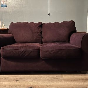 Nice couches big one and loveseat